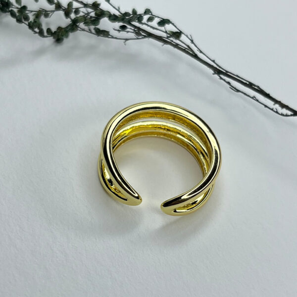 Spiral Ring - Image 2