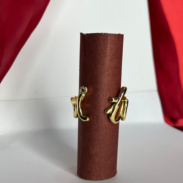 Elysian Loop Ring - Image 3