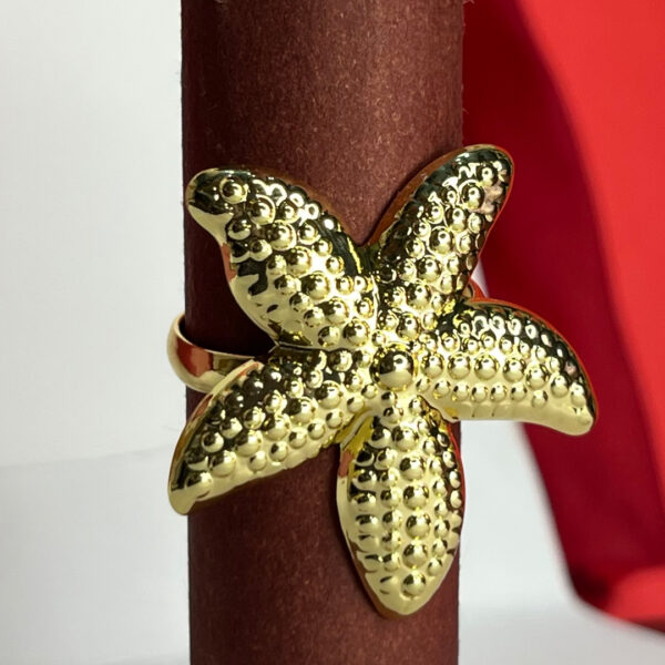 Celeste Star Ring - Image 2